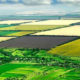 Период льготного выкупа земли сельхозназначения в Краснодарском крае продлят до 1 января 2018 года