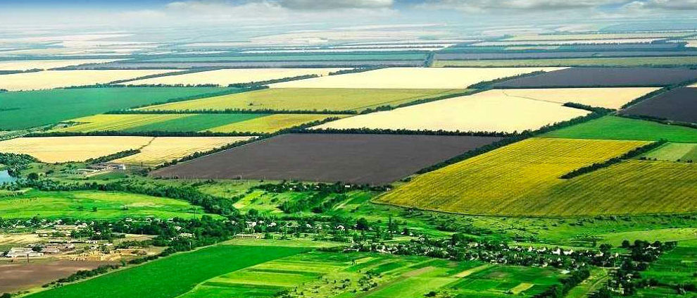 Период льготного выкупа земли сельхозназначения в Краснодарском крае продлят до 1 января 2018 года